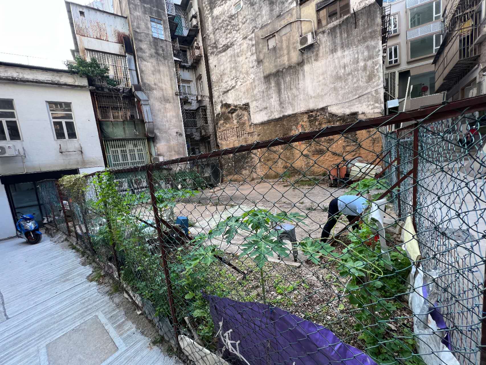 新通道內的舊棄置空地.jpg 新通道內的舊棄置空地.jpg